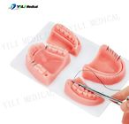 Realistic Oral Touch Wound Suture Practice Pad For Dental Education