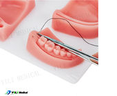 Realistic Oral Touch Wound Suture Practice Pad For Dental Education