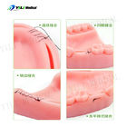 Silicone Suture Practice Pad Three Modules Dental Suturing And Implants